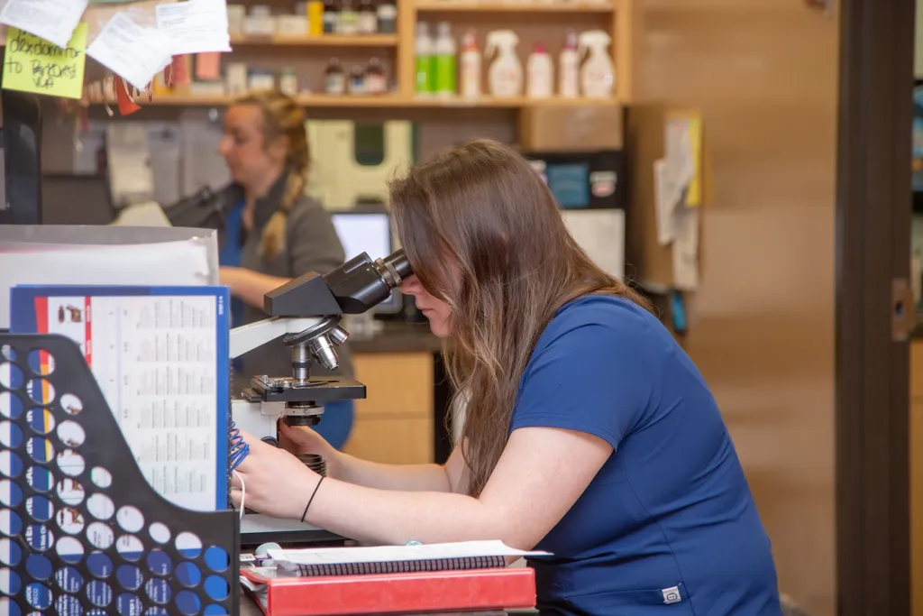 veterinary lab services,pet diagnostics Springfield