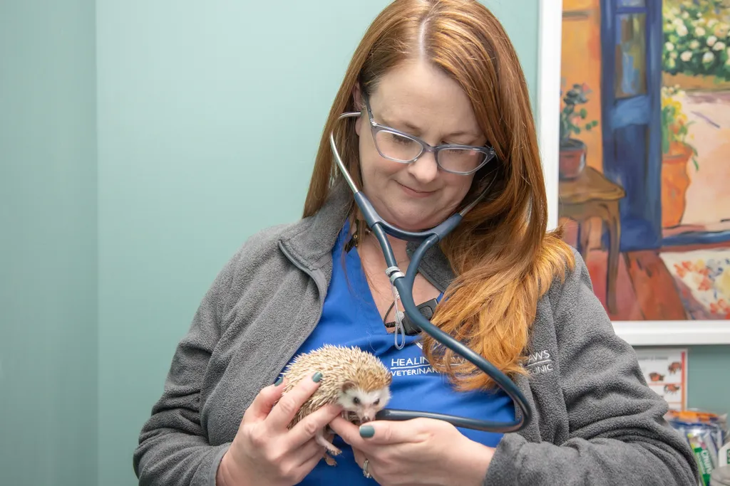 pet wellness care,vet check-ups,Springfield MO vet